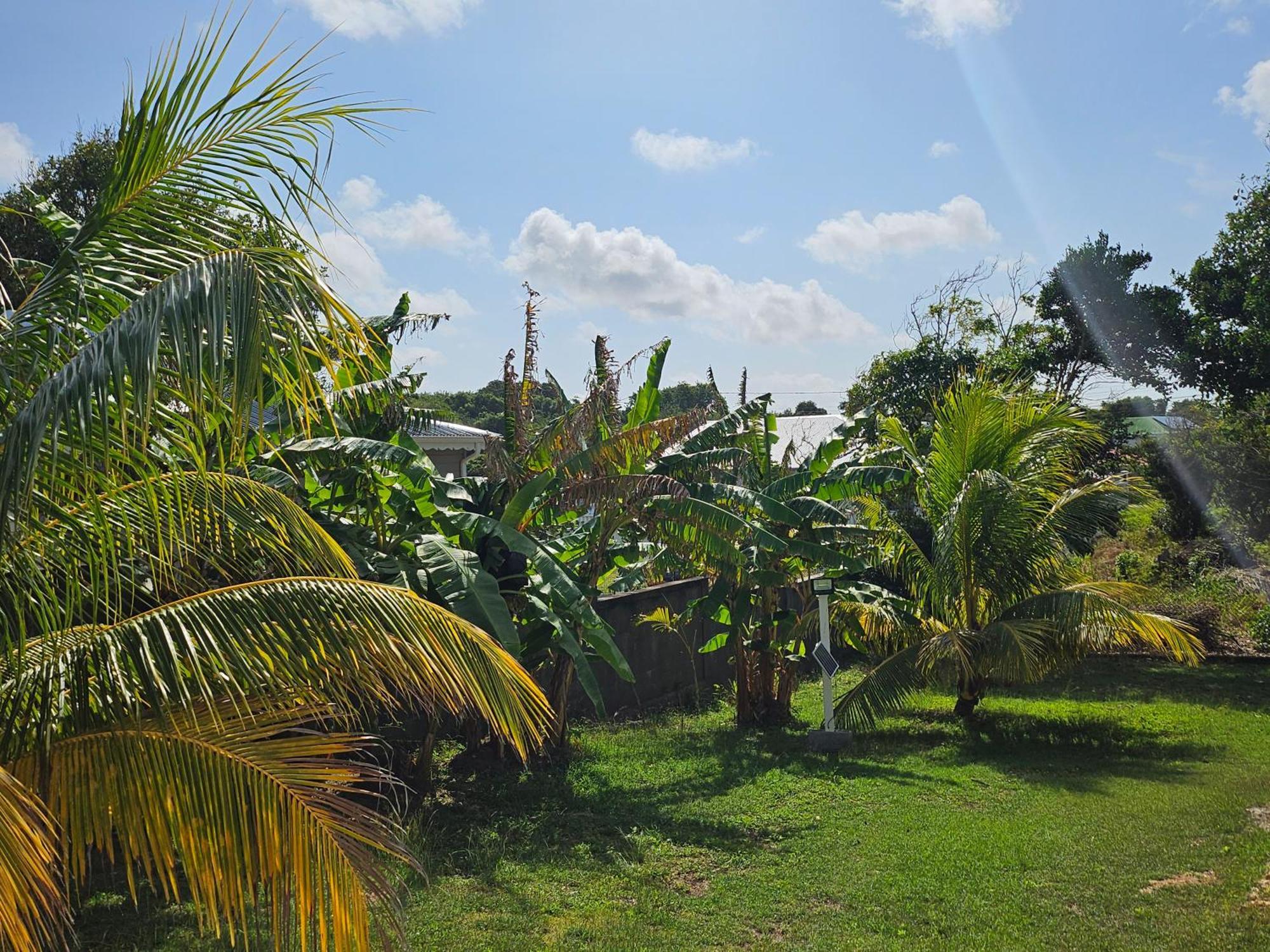 Bungalow Bo Sicrie Le Moule Exterior foto
